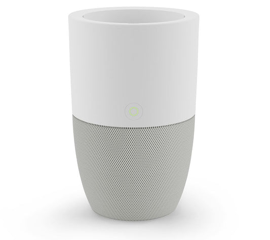 Dupray Bloom Air Purifier