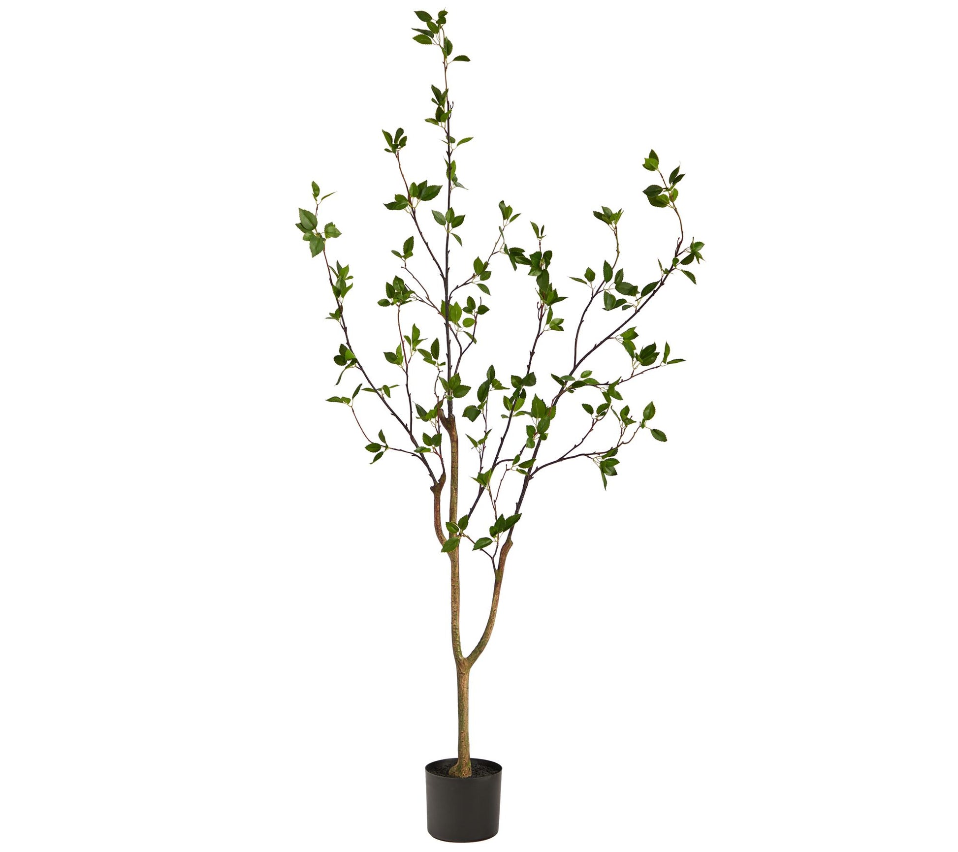 Nearly Natural 5' Minimalist Citrus Artificial Tree