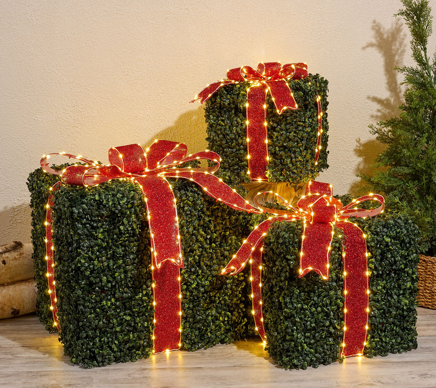 Kringle Express S/3 Oversized In/Outdoor Lit Boxwood Presents