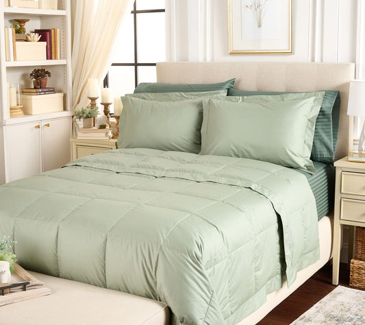 Northern Nights Shadow Dot Cotton 650FP Down Blanket Set - Full