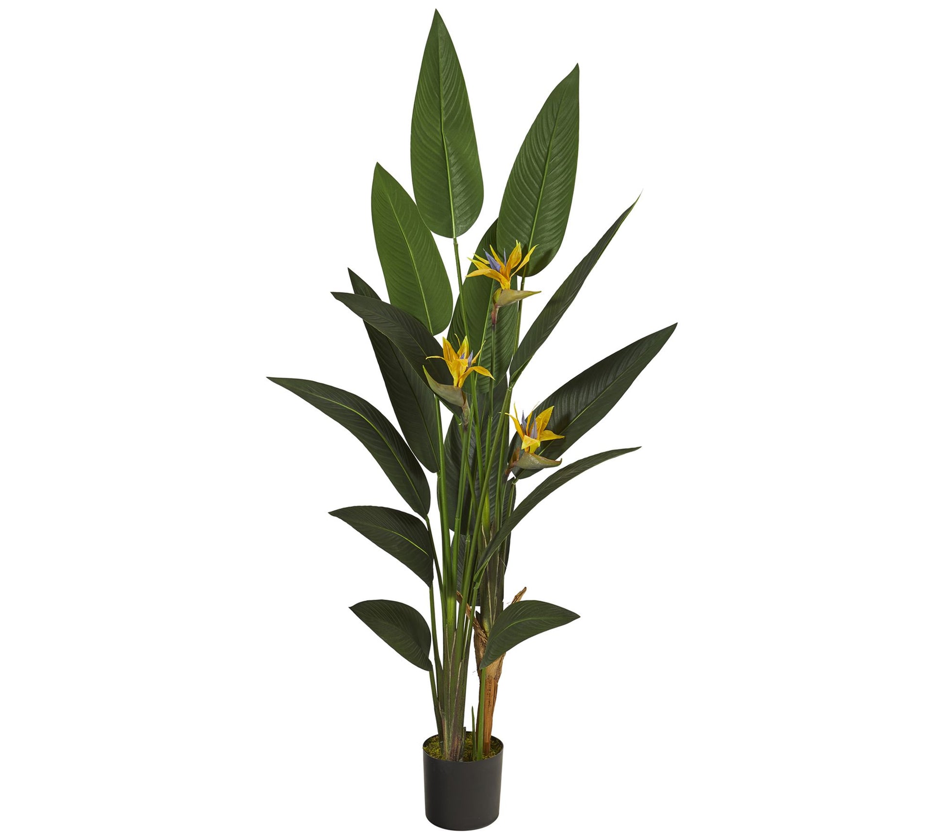 Nearly Natural 6' Bird of Paradise Artificial Plant