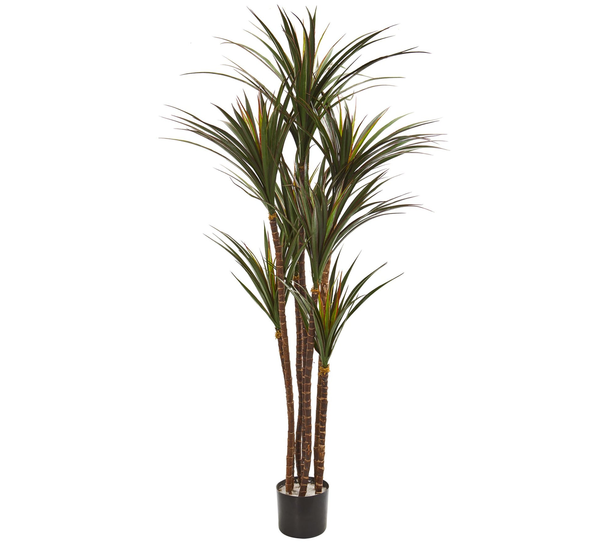 Nearly Natural 5.5' Giant Yucca Artificial Tree UV Resistant