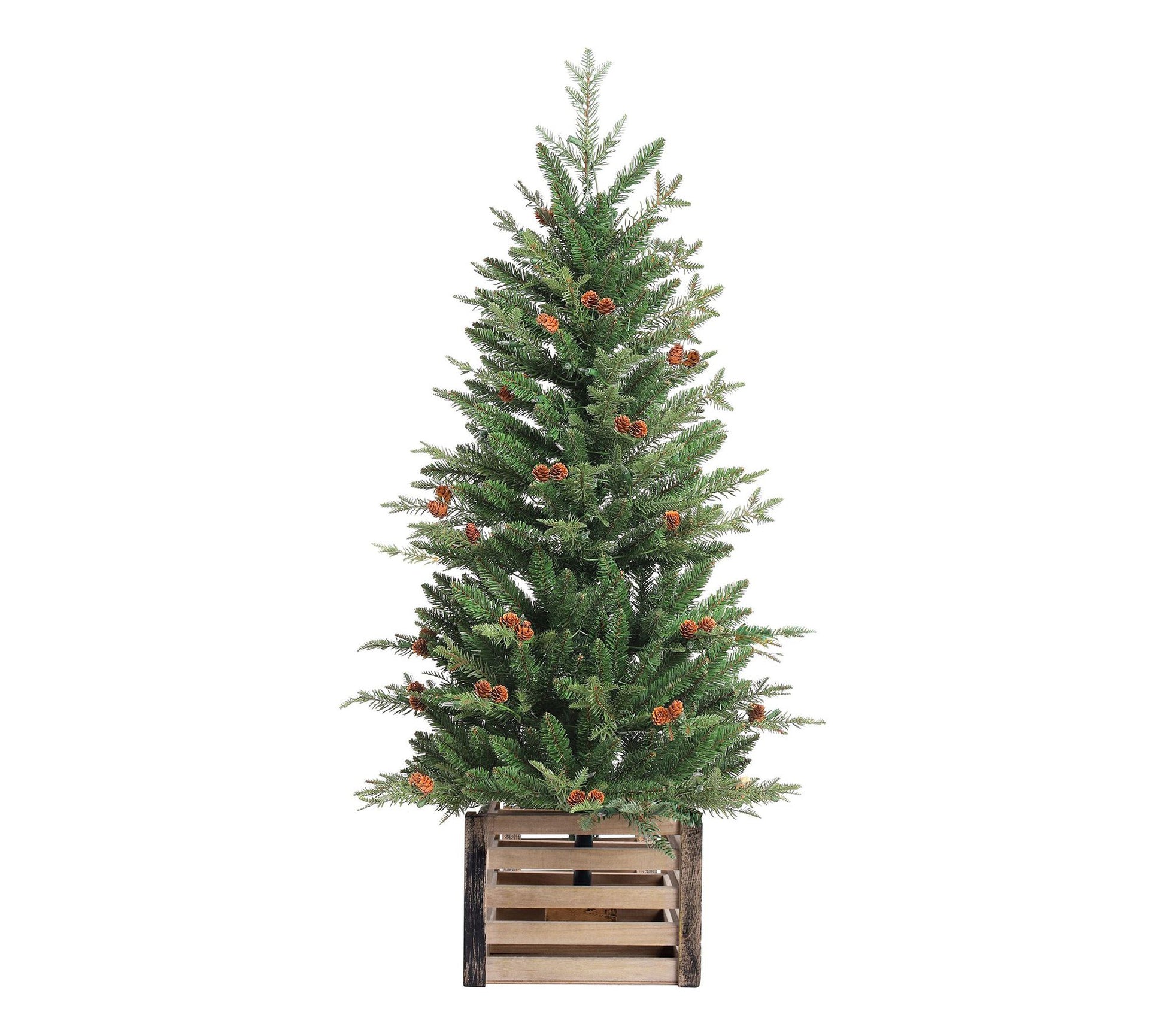 Haute Decor 4' Pre-lit Asheville Artificial Fir Potted Tree
