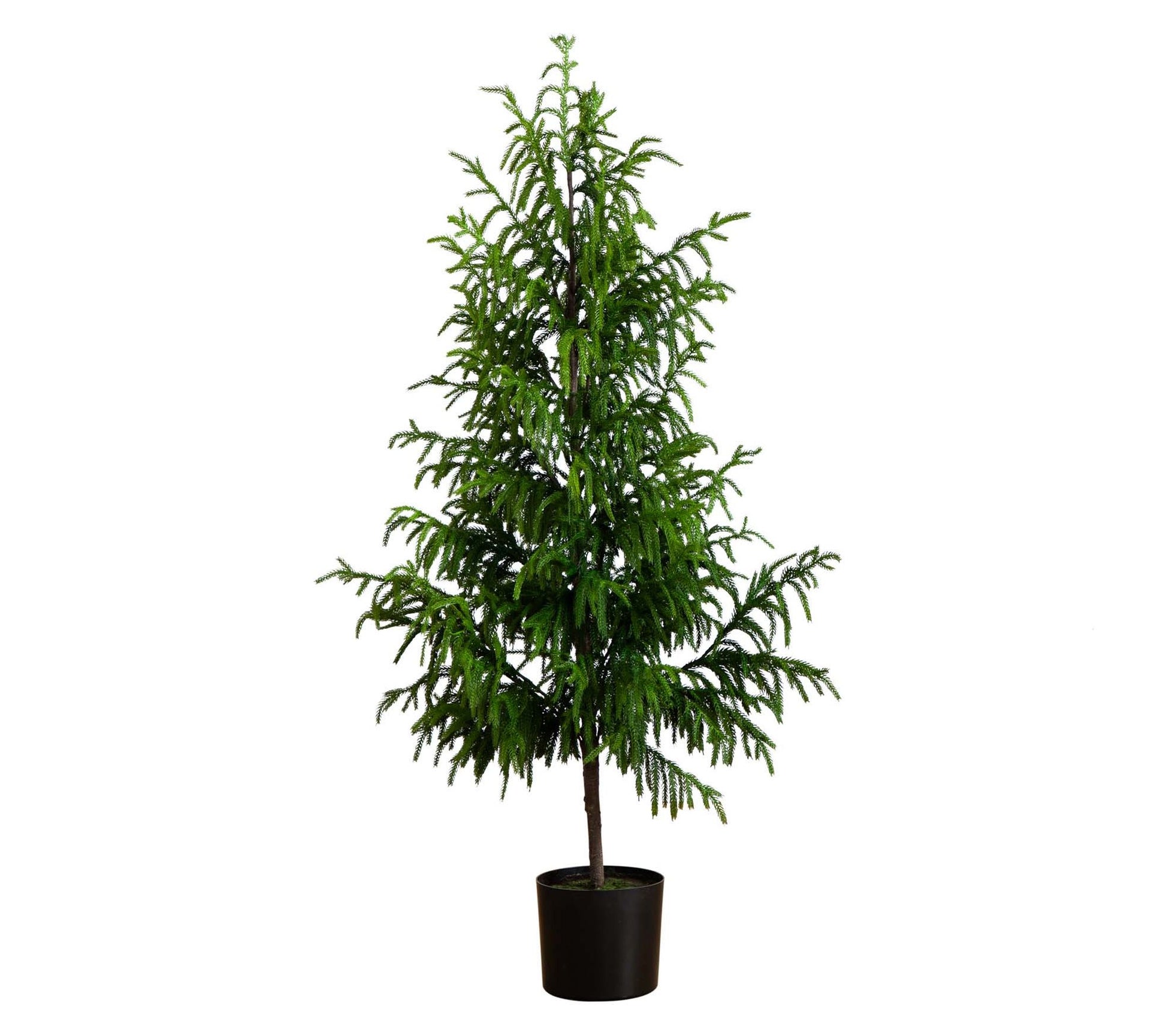 Nearly Natural 5' Artificial Norfolk Pine Tree