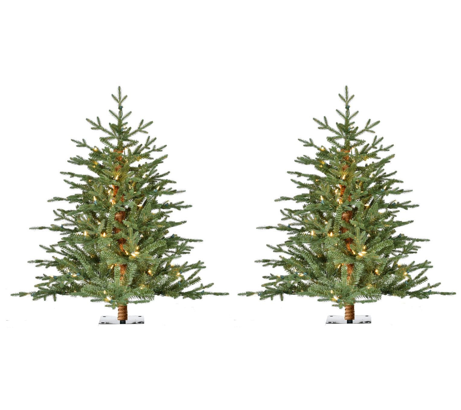 Fraser Hill Farm 3 Ft. Green Alpine Porch Accent Tree Set of 2