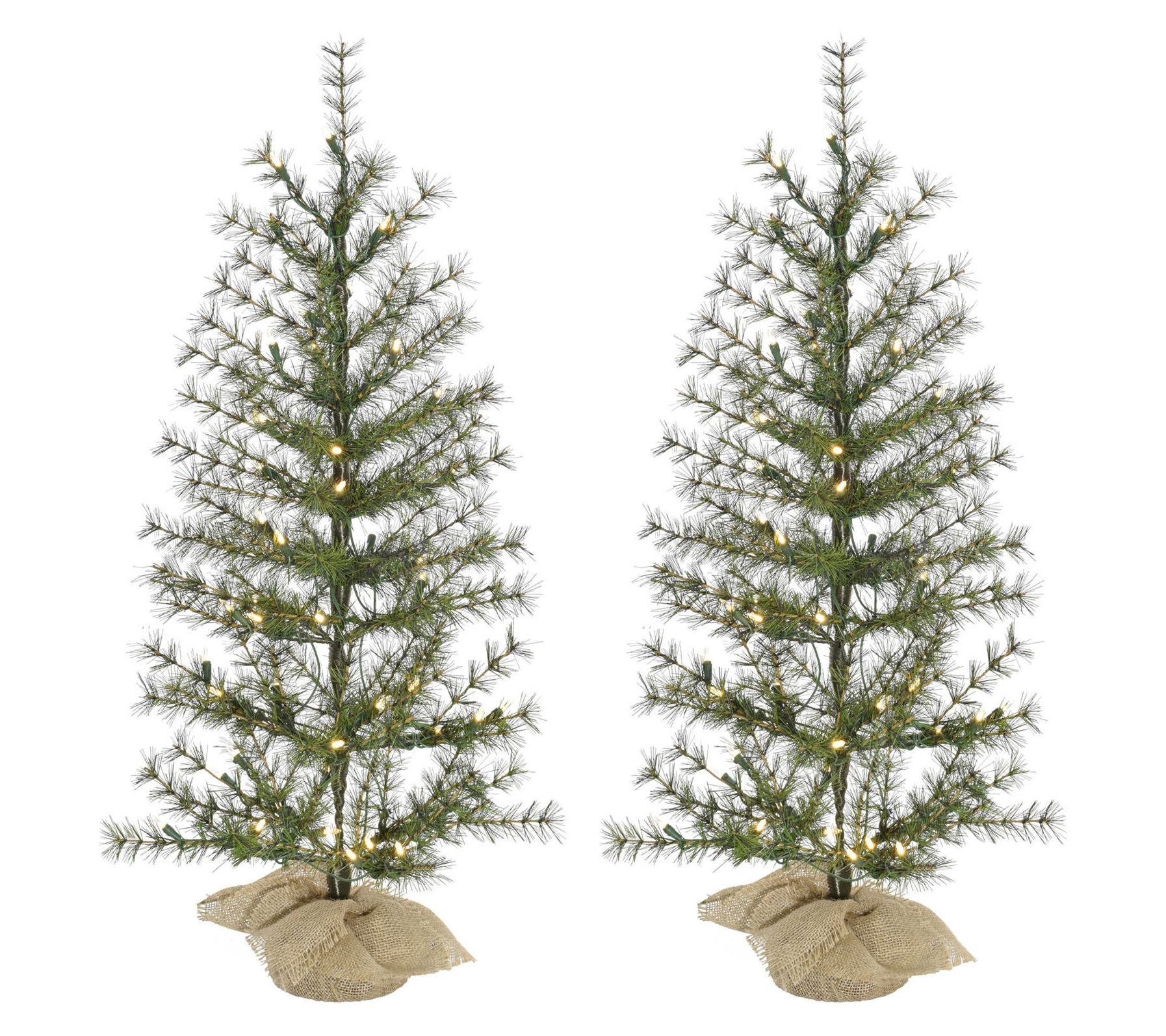 Fraser Hill Farm 3 ft. Farmhouse Fir ChristmasTree Set of 2