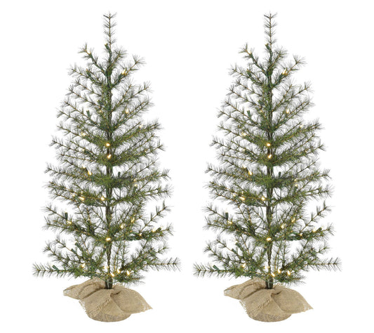 Fraser Hill Farm 3 ft. Farmhouse Fir ChristmasTree Set of 2