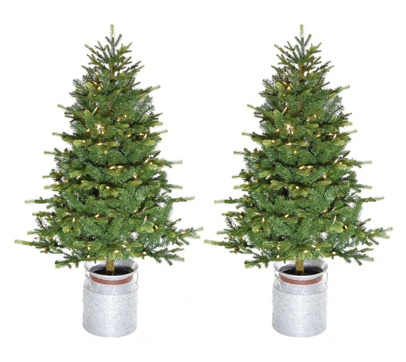 Fraser Hill Farm 3.5-Ft. Porch Accent Tree Setof 2