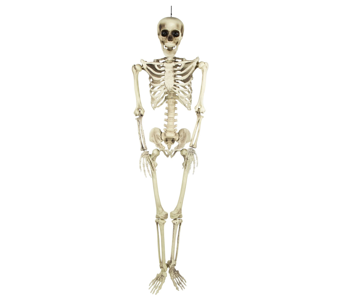 Northlight Life Size Skeleton Hanging HalloweenDecor 5'