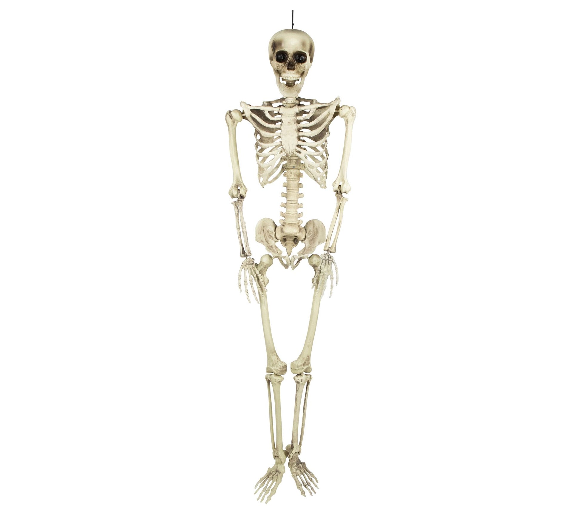 Northlight Life Size Skeleton Hanging HalloweenDecor 5'