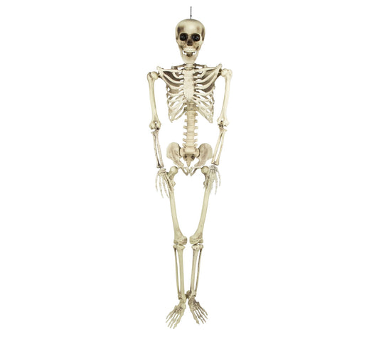 Northlight Life Size Skeleton Hanging HalloweenDecor 5'