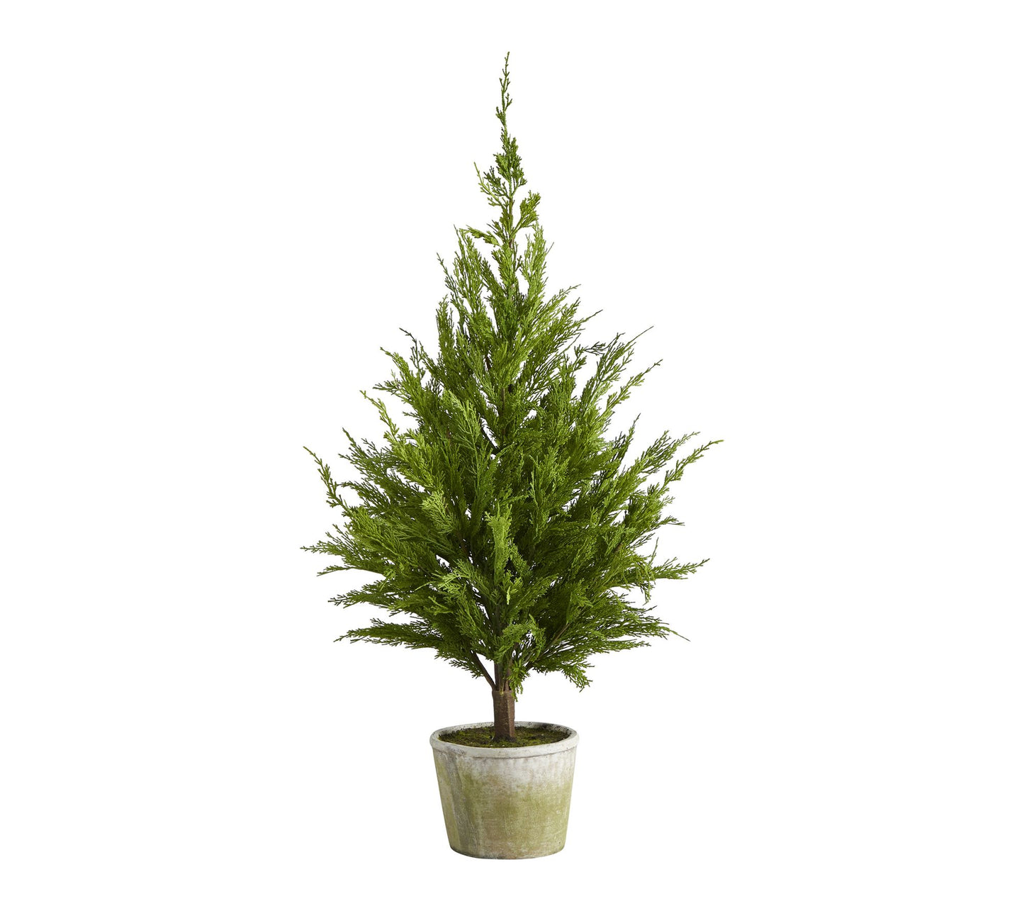Nearly Natural 3.5' Cedar Pine Tree in Decorative Planter