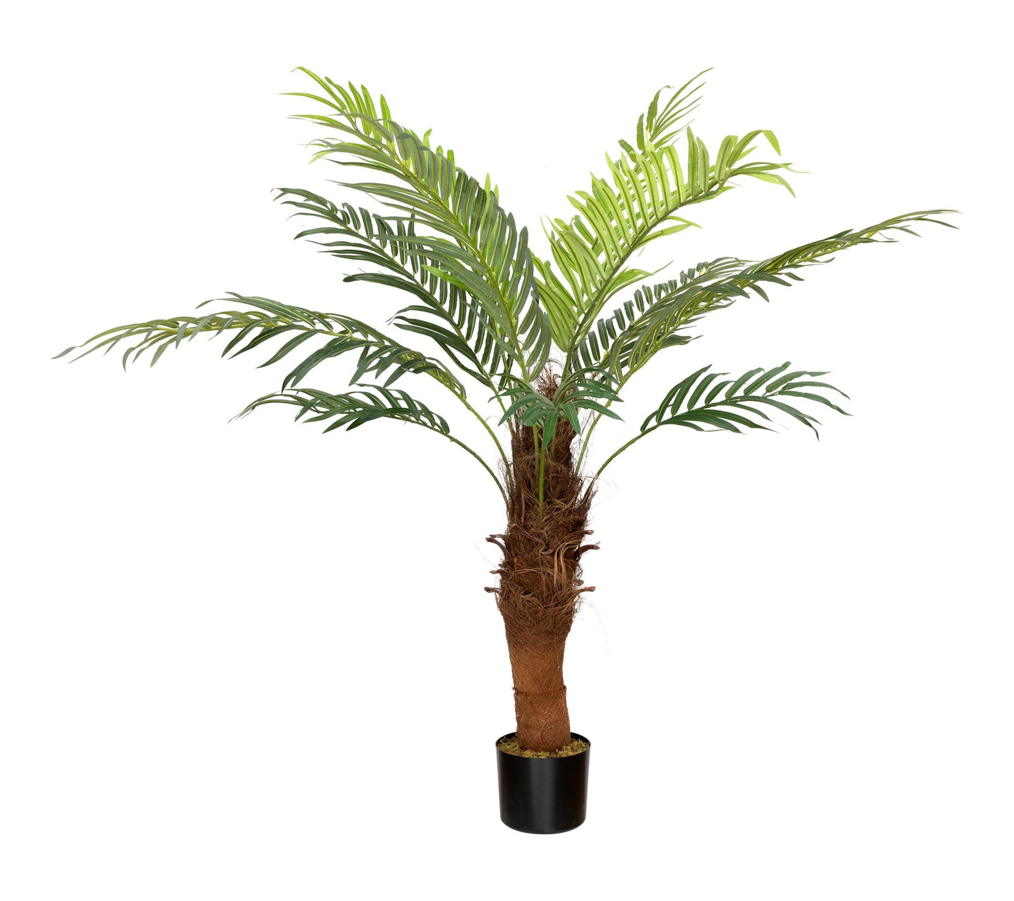 Northlight Tropical Artificial Phoenix Palm Potted Tree 47"