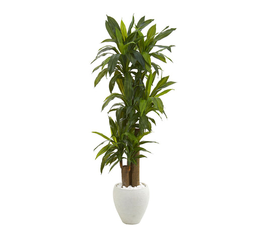 Nearly Natural 64" Corn Stalk Dracaena Plant (R eal Touch)