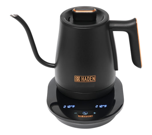 HADEN Gooseneck 0.6-Liter (2.5 Cup) Electric Kettle